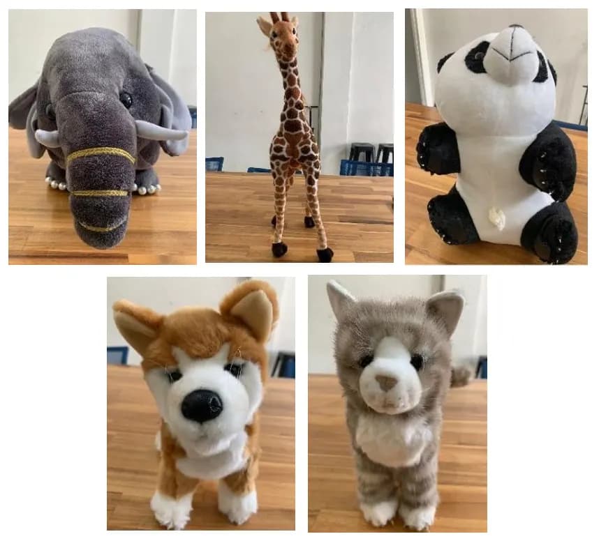 ตุ๊กตาช้าง ยีราฟ หมีแพนด้า สุนัข และแมว ที่ใช้ในโครงการ